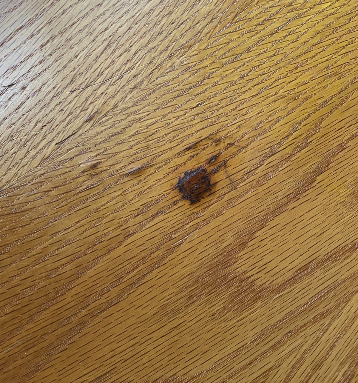 Vintage Oak Flat File SOLD Vintage Industrial by Get Back, Inc