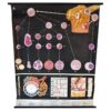 Vintage Anatomical Blood Cell Wall Chart