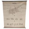 Antique Amoeba Educational Wall Chart